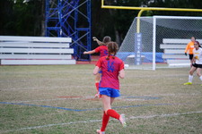Enlarge photo 115