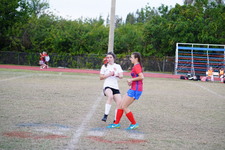Enlarge photo 117