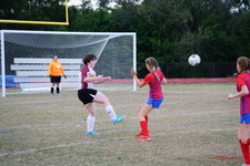 Enlarge photo 118