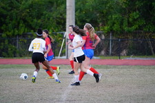 Enlarge photo 122