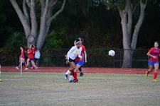 Enlarge photo 132