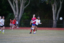 Enlarge photo 133
