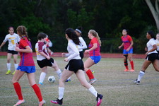 Enlarge photo 138