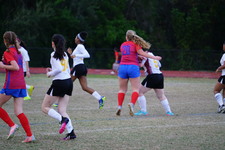 Enlarge photo 141