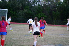 Enlarge photo 151