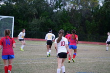 Enlarge photo 153