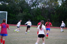 Enlarge photo 154