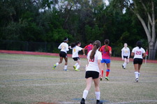 Enlarge photo 155