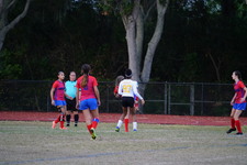 Enlarge photo 158