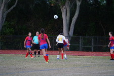 Enlarge photo 159