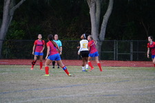 Enlarge photo 161