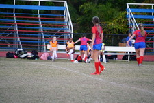 Enlarge photo 163