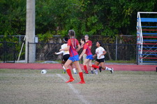 Enlarge photo 166