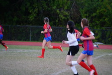 Enlarge photo 167