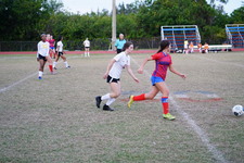 Enlarge photo 196