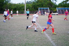 Enlarge photo 197