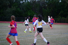 Enlarge photo 216