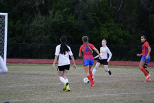 Enlarge photo 220