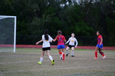 Enlarge photo 223