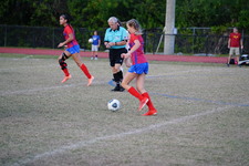 Enlarge photo 235