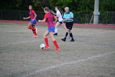 Enlarge photo 236