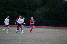 Enlarge photo 239