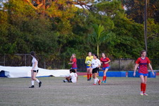 Enlarge photo 241