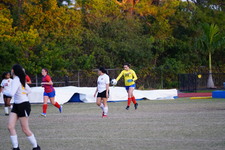 Enlarge photo 243