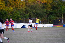 Enlarge photo 242