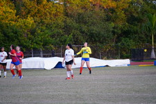 Enlarge photo 245