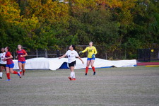 Enlarge photo 246