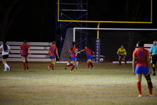 Enlarge photo 266