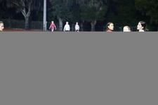 Enlarge photo 373