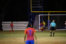 Enlarge photo 341