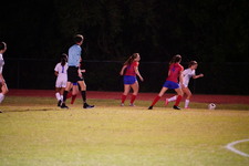 Enlarge photo 110