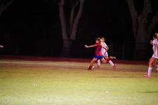 Enlarge photo 131