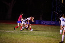 Enlarge photo 239