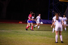 Enlarge photo 241