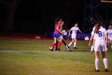 Enlarge photo 242