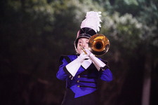 Enlarge photo 205