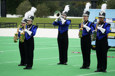 Enlarge photo 115