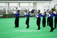 Enlarge photo 120