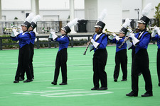 Enlarge photo 122