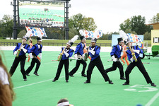 Enlarge photo 179