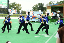 Enlarge photo 181