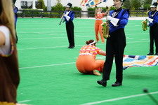 Enlarge photo 188
