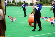 Enlarge photo 187