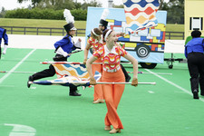 Enlarge photo 206