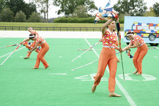 Enlarge photo 252
