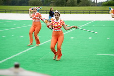 Enlarge photo 257